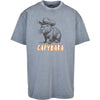Skill Issue | CAPYBARA | Acid Wash Tee | Good Game Apparel