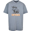 Skill Issue | CAPYBARA | Acid Wash Tee | GG Apparel