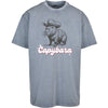 Skill Issue | CAPYBARA PINK | Acid Wash Tee | GG Apparel
